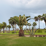 Villa de prestige meublée à louer à Marina Blanca – Dar Bouazza